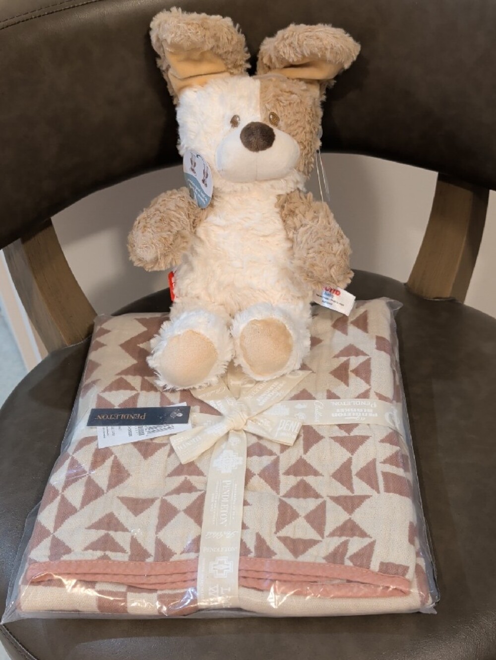 Pendleton Blue Ridge Organic Cotton Baby Blanket & Gund Peek-a-Boo Peeki Puppy